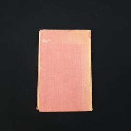 Картинка 5