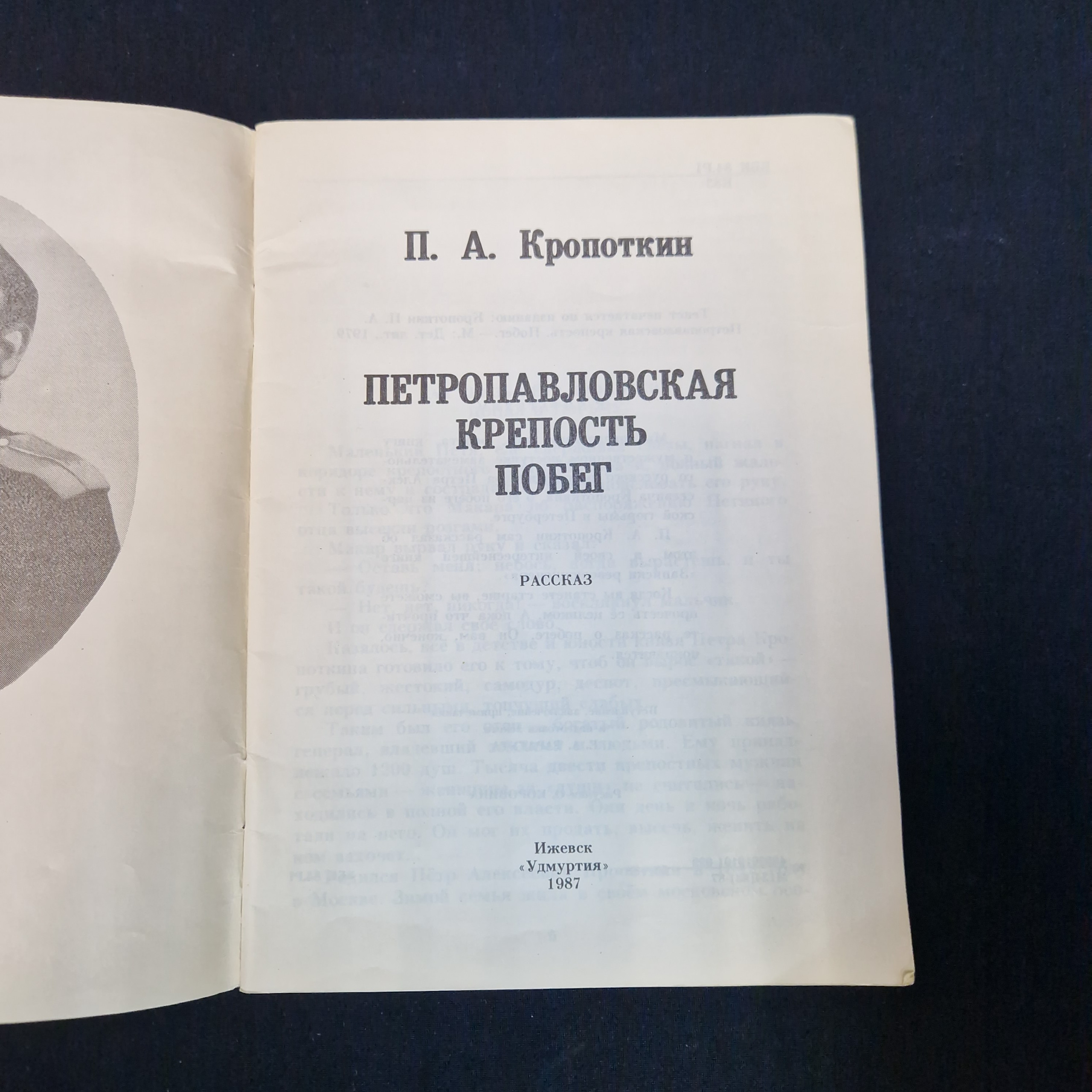 Картинка 3