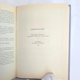 Картинка 6