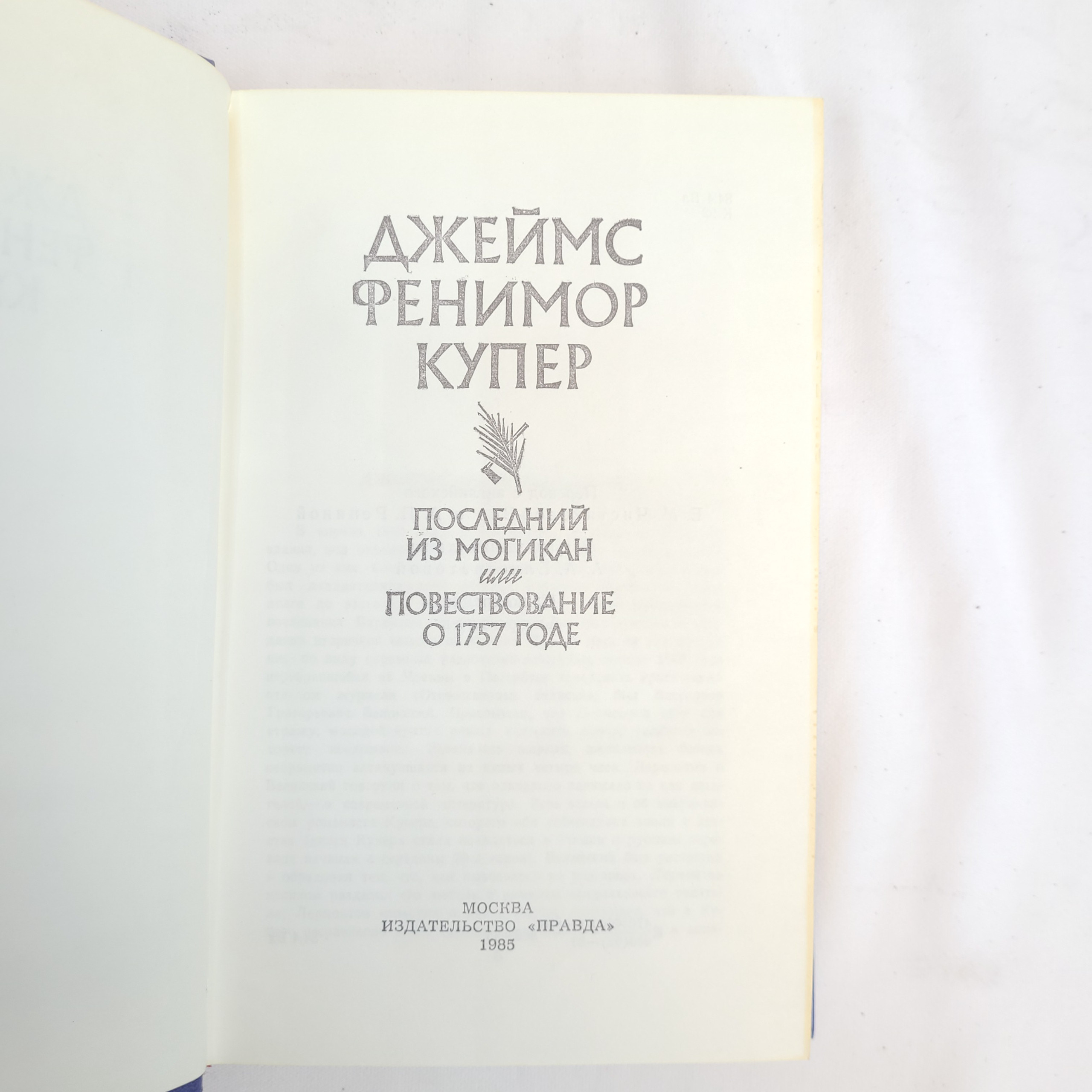 Картинка 4