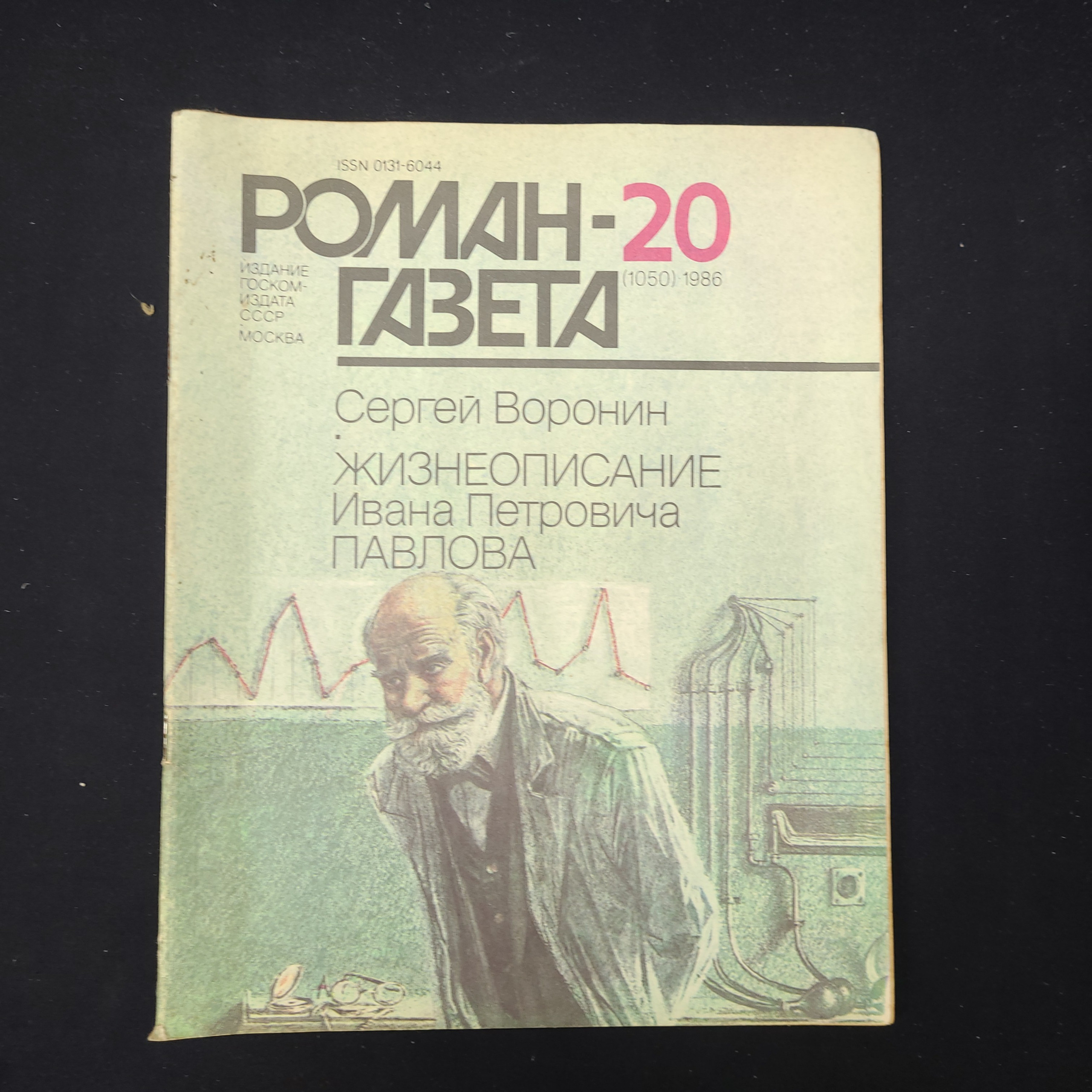 Картинка 1