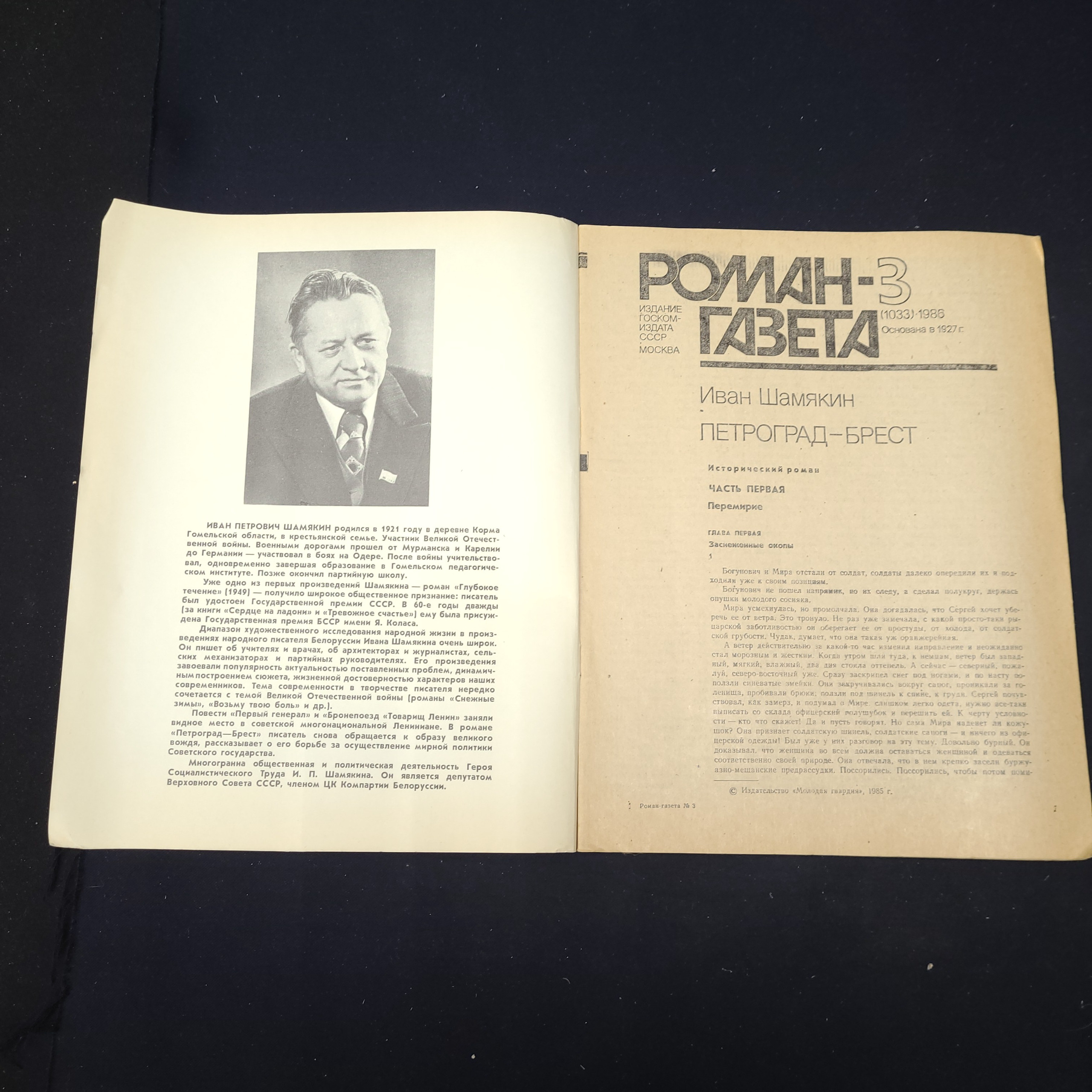 Картинка 3