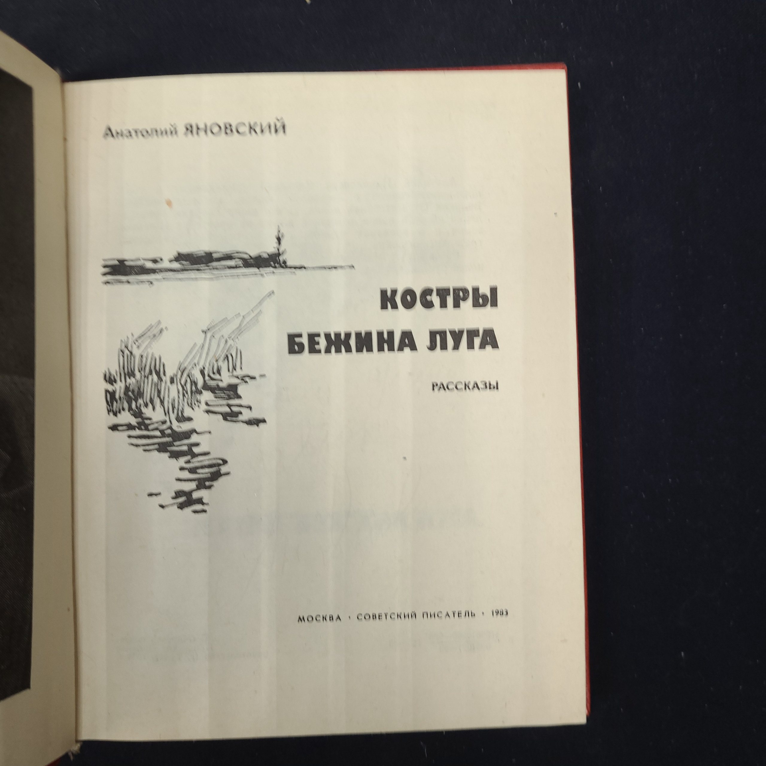Картинка 4