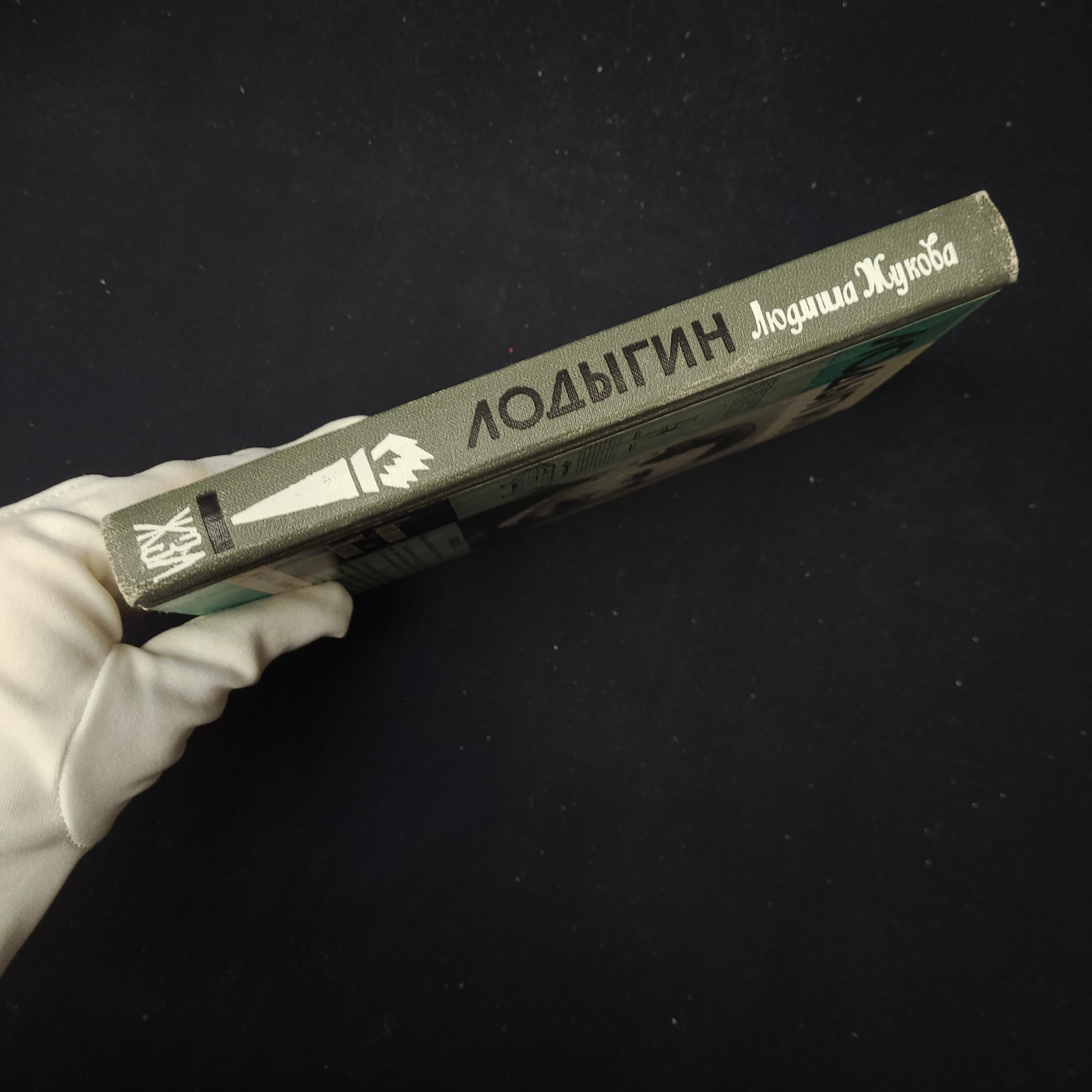 Картинка 2