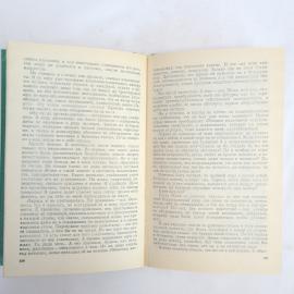Картинка 5