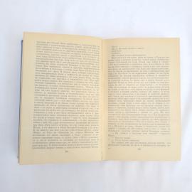 Картинка 5