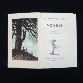 Картинка 3