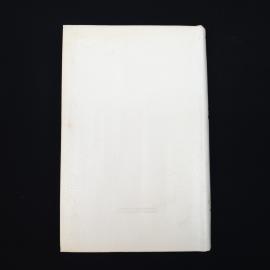 Картинка 6