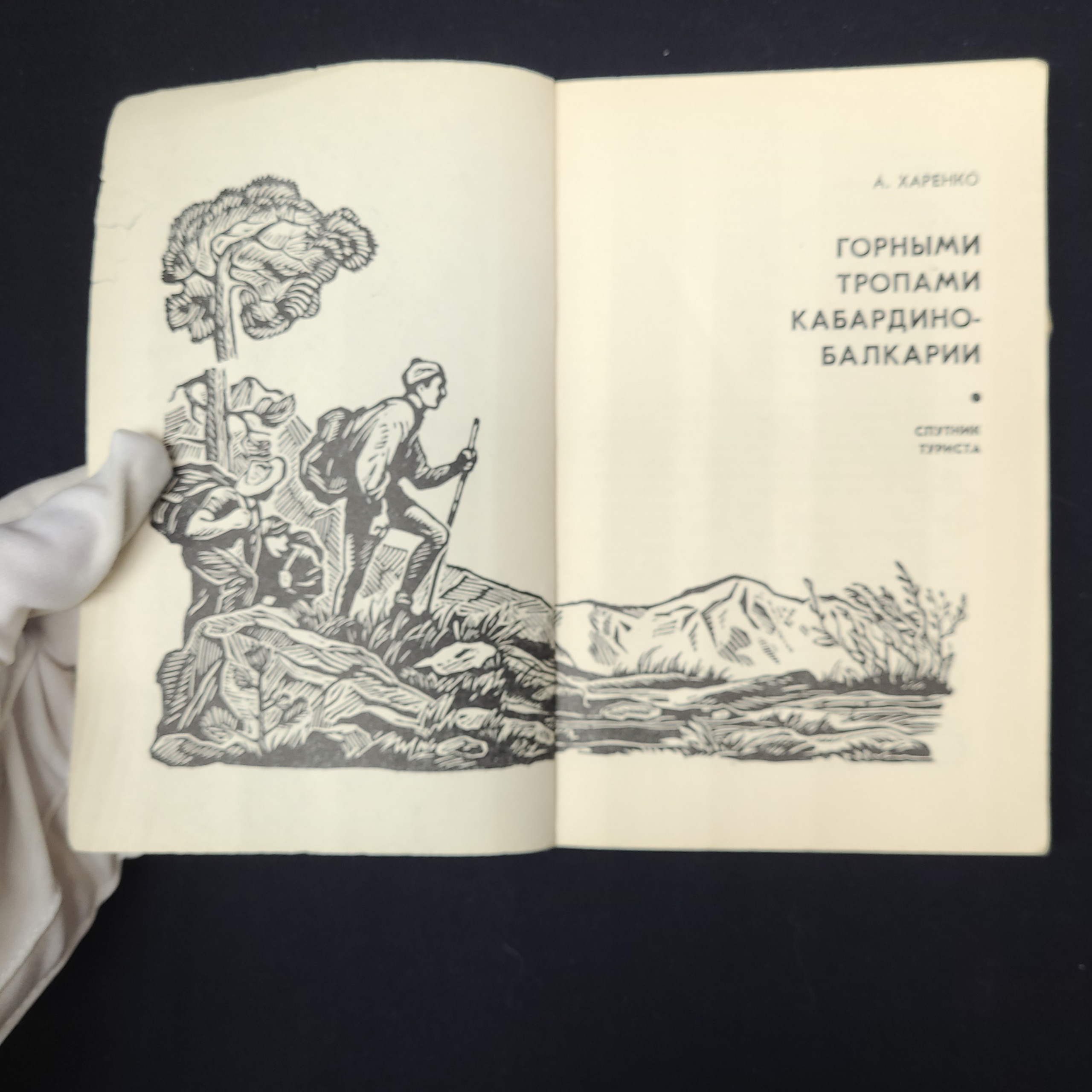 Картинка 3