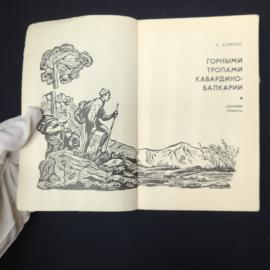 Картинка 3