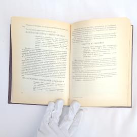 Картинка 5