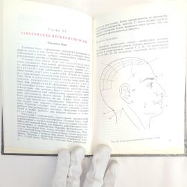 Картинка 5