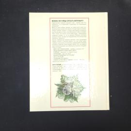 Картинка 3