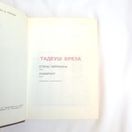 Картинка 4