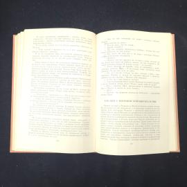 Картинка 5