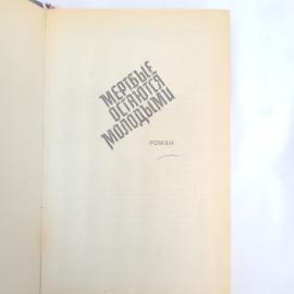 Картинка 4