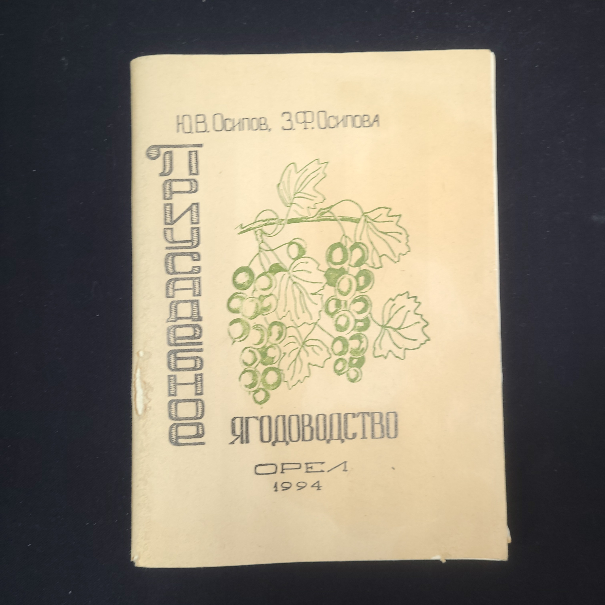 Картинка 1