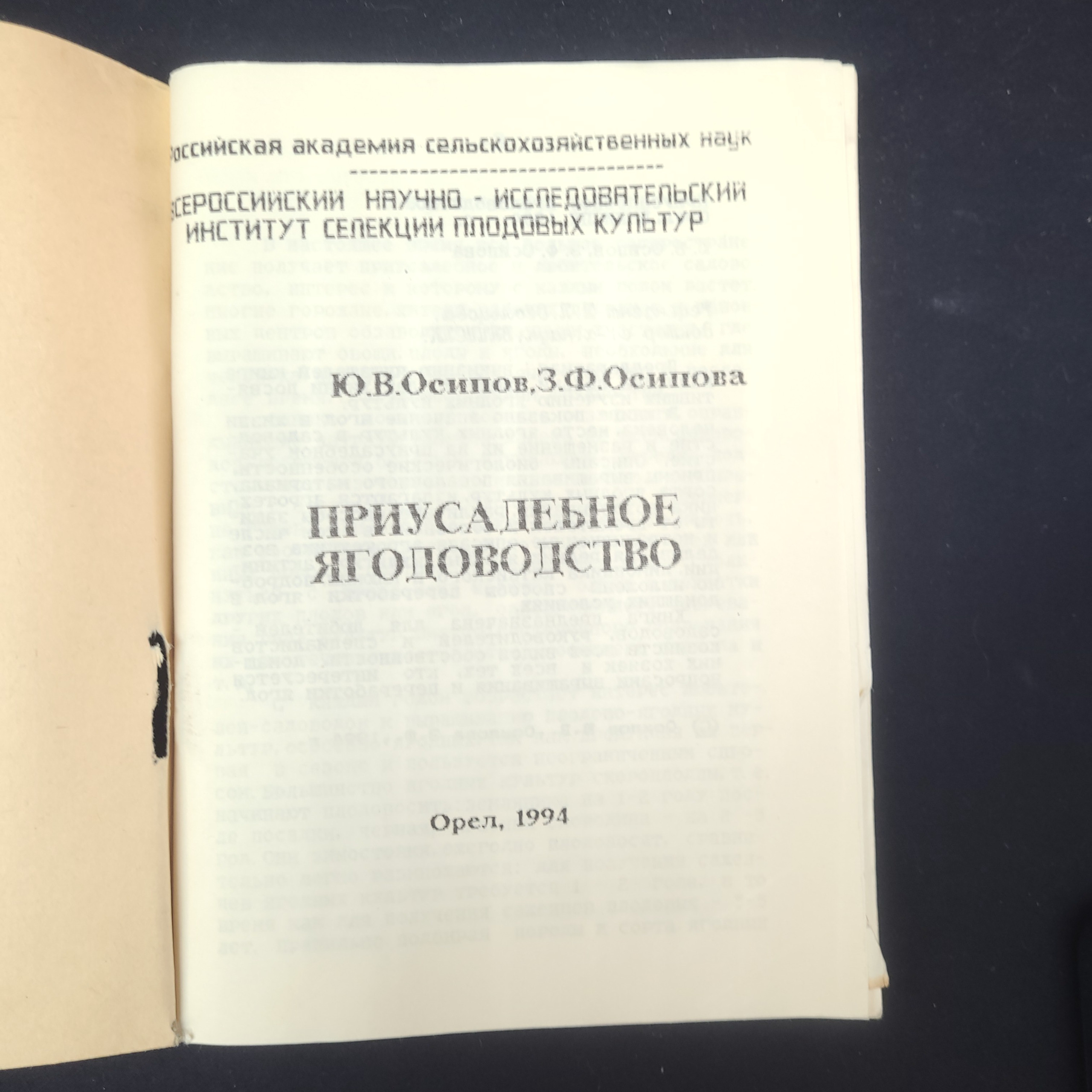 Картинка 3