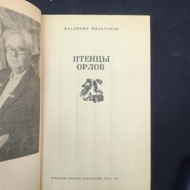 Картинка 4