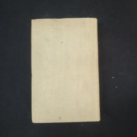 Картинка 3