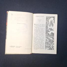 Картинка 4