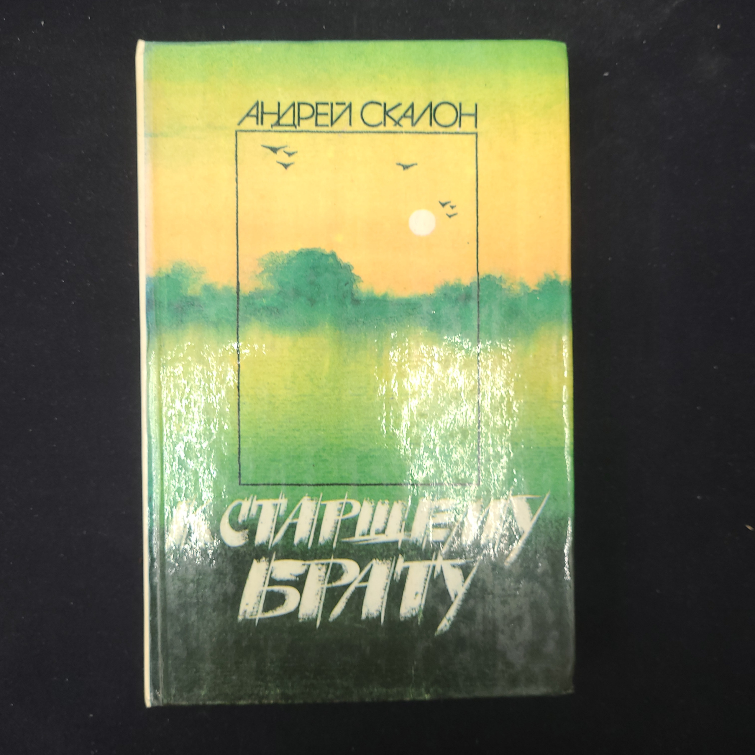 Картинка 1