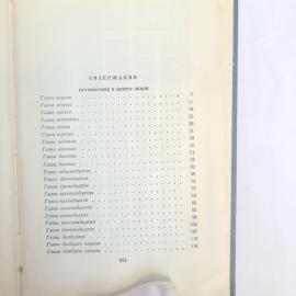 Картинка 6