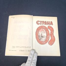 Картинка 4