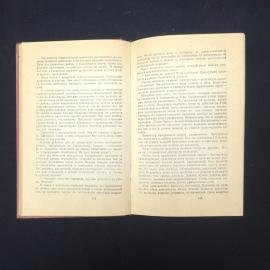 Картинка 5