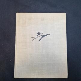 Косова. Изобразительное искусство в преподавании истории. Книга. Учебное пособие.