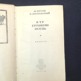 Картинка 5