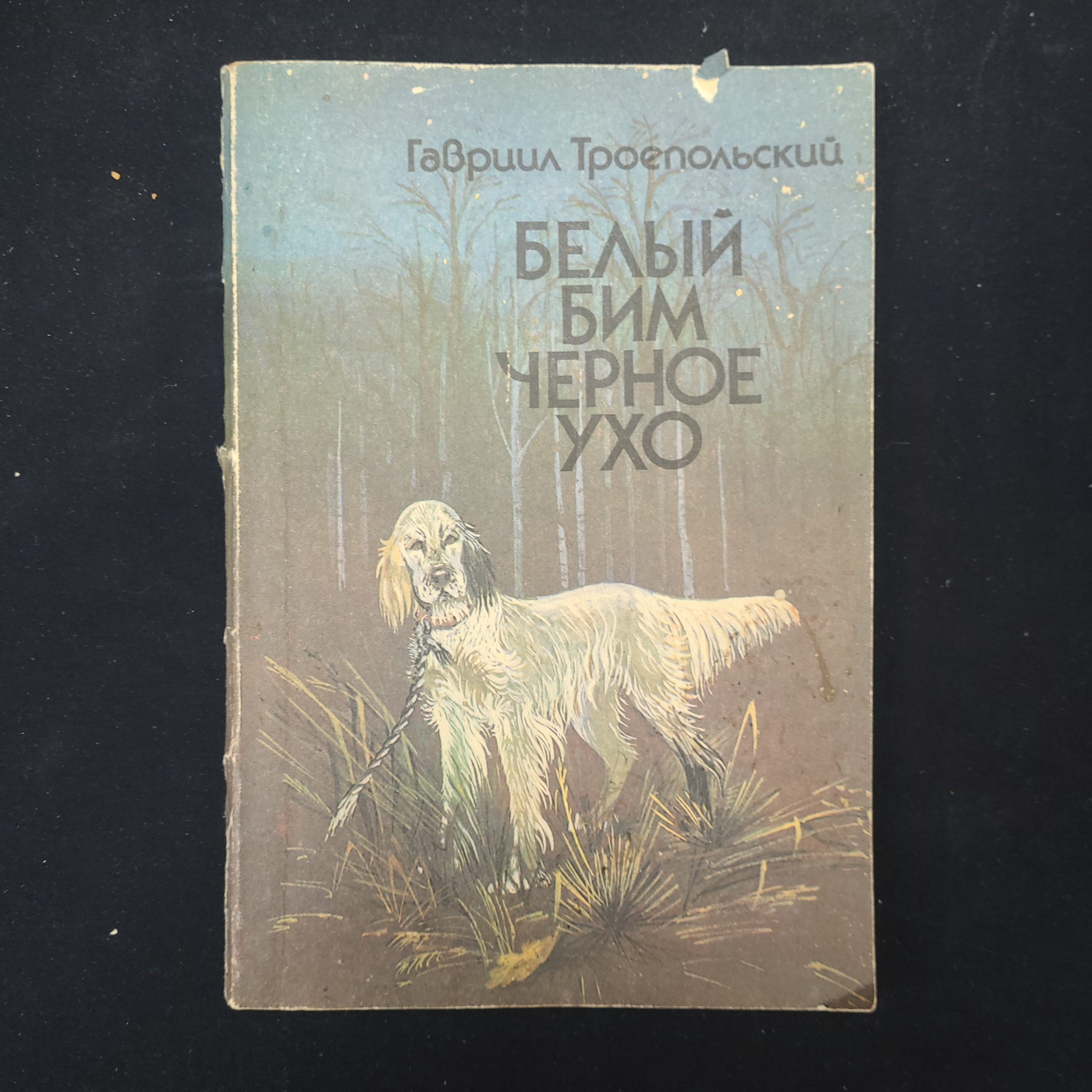 Картинка 1