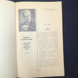 Картинка 3