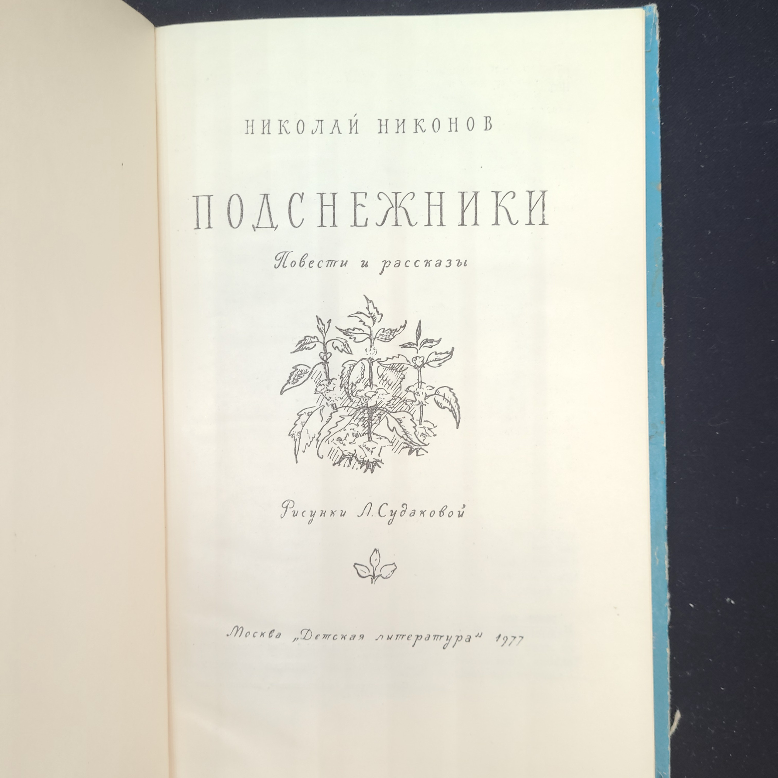 Картинка 3