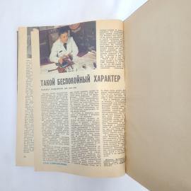 Картинка 6