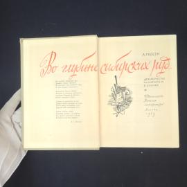 Картинка 4