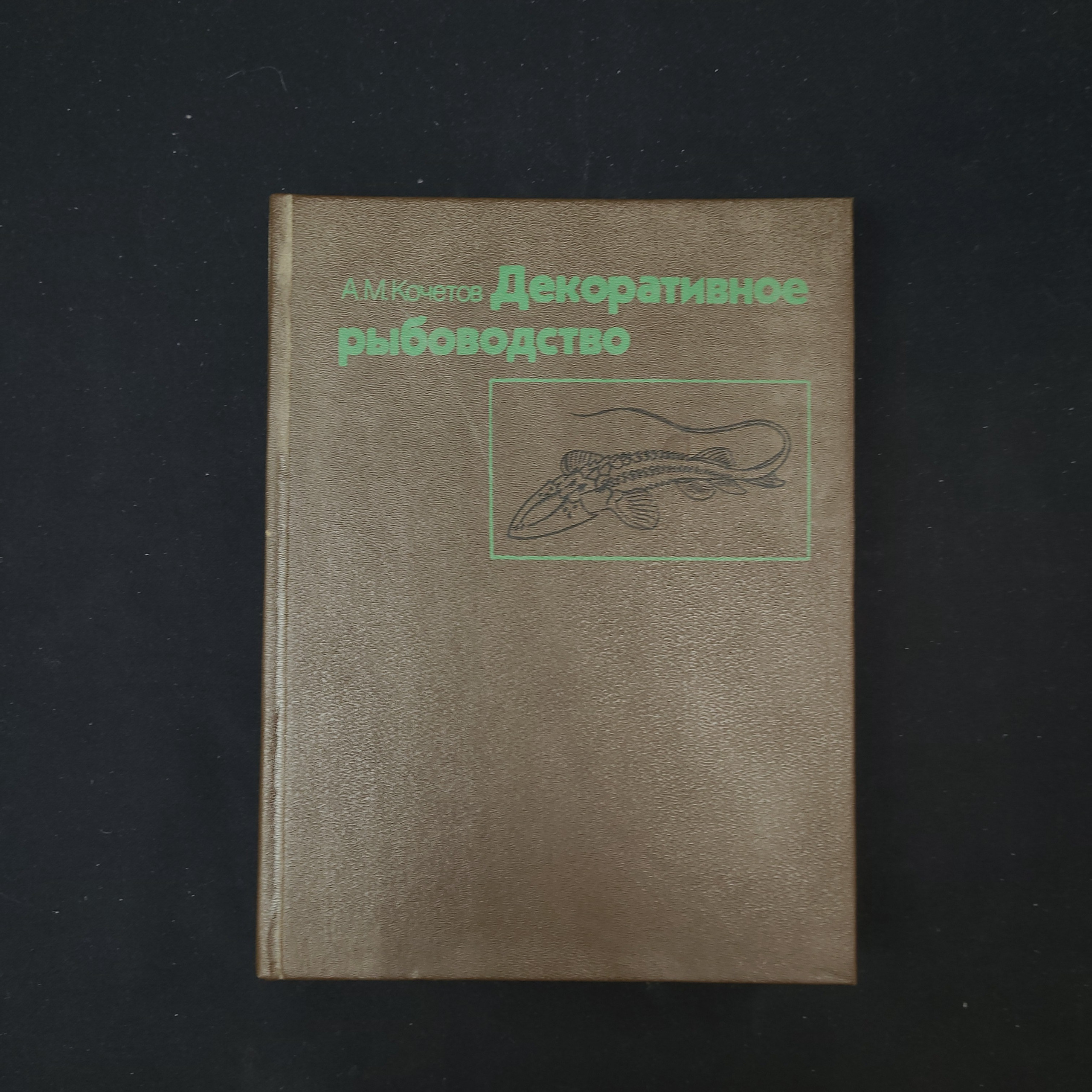 Картинка 1