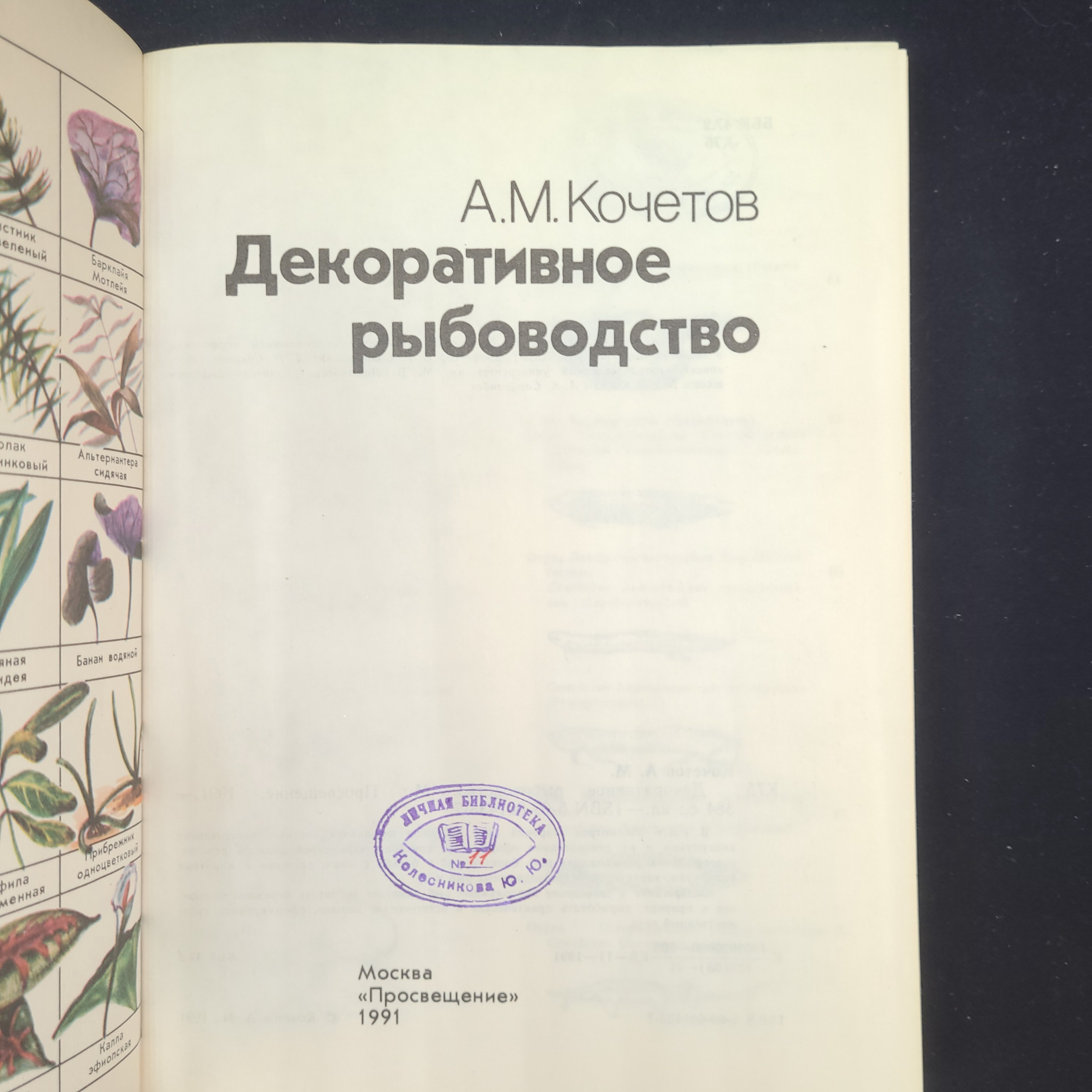 Картинка 4