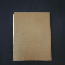 Картинка 3