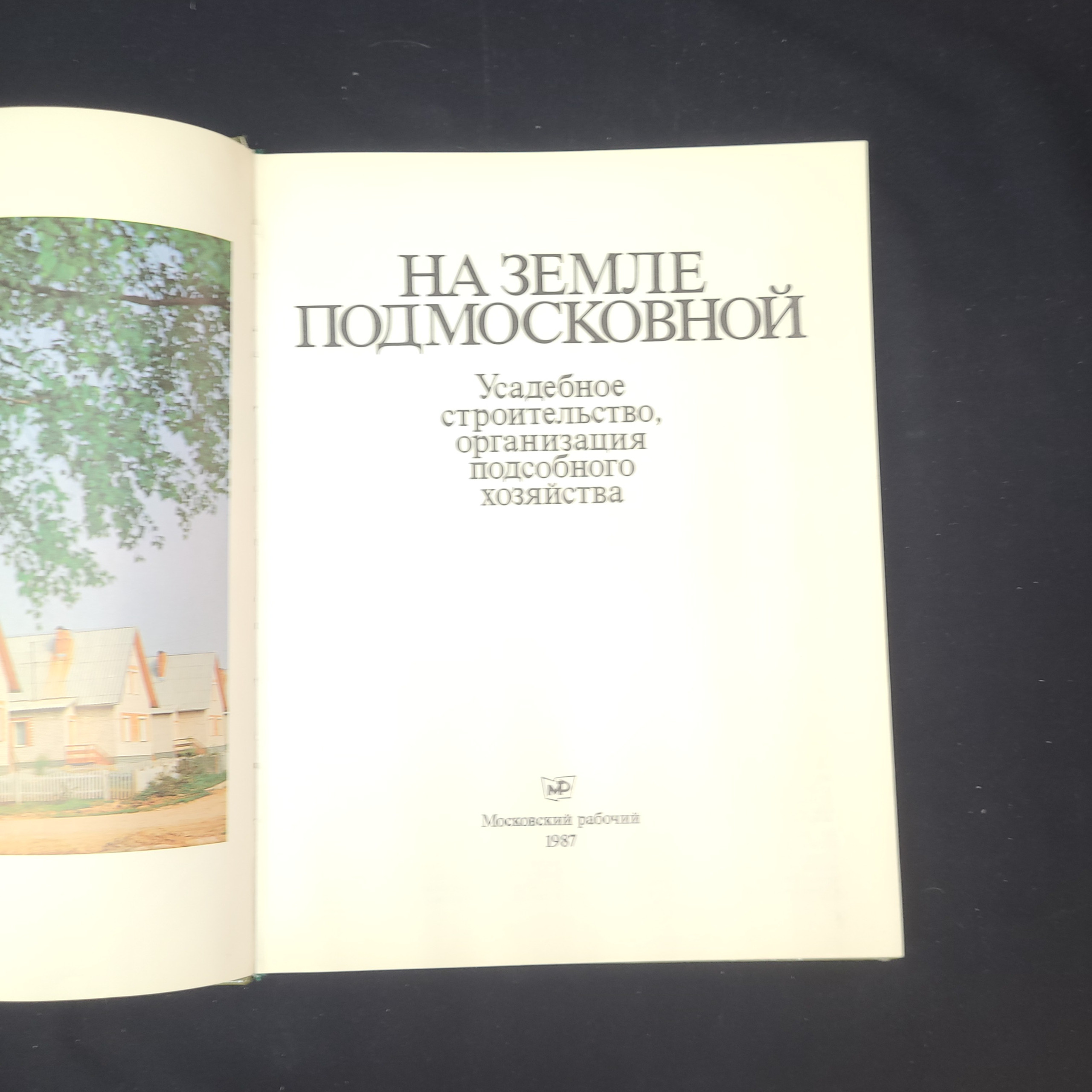 Картинка 4
