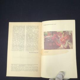 Картинка 5