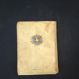 Картинка 3