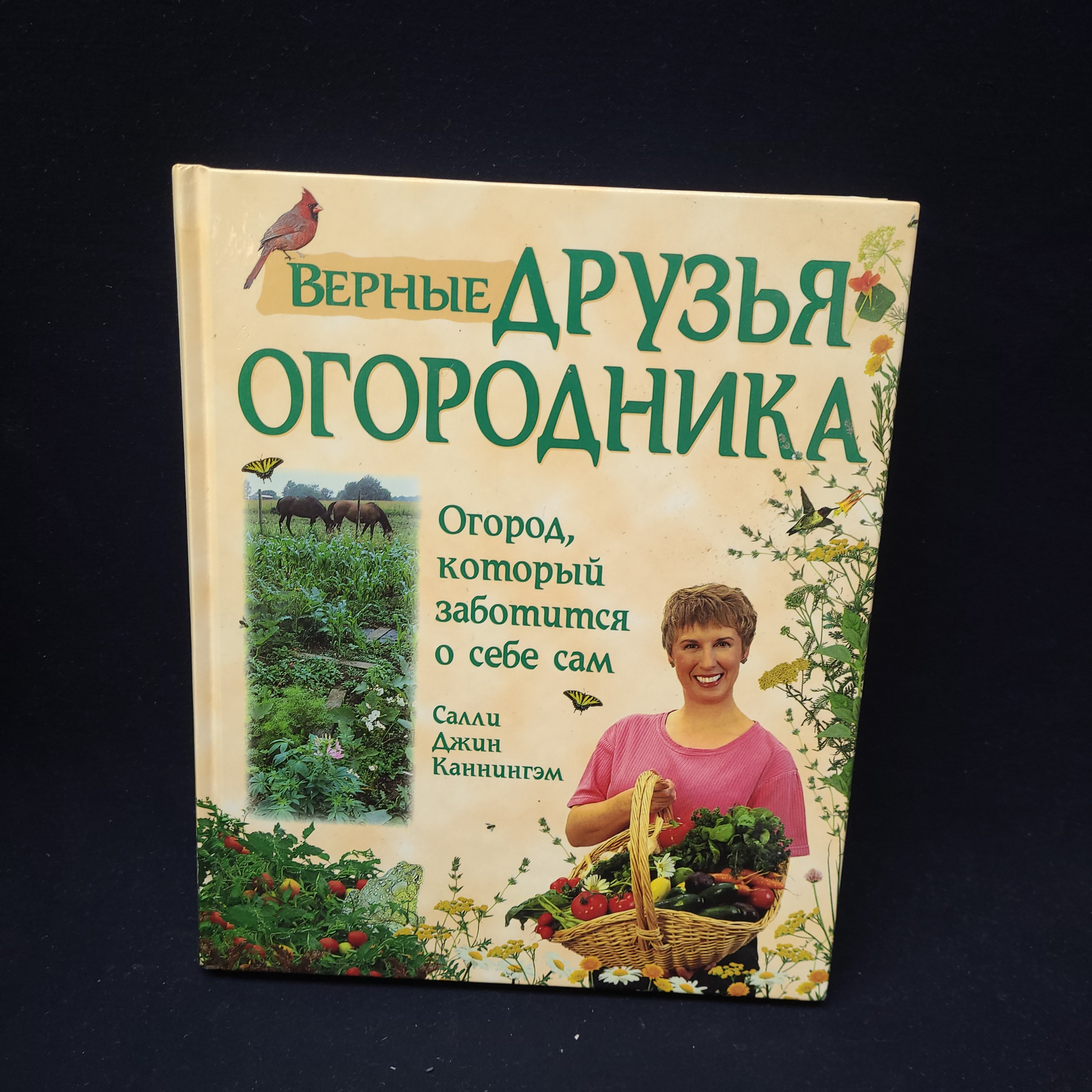 Картинка 1