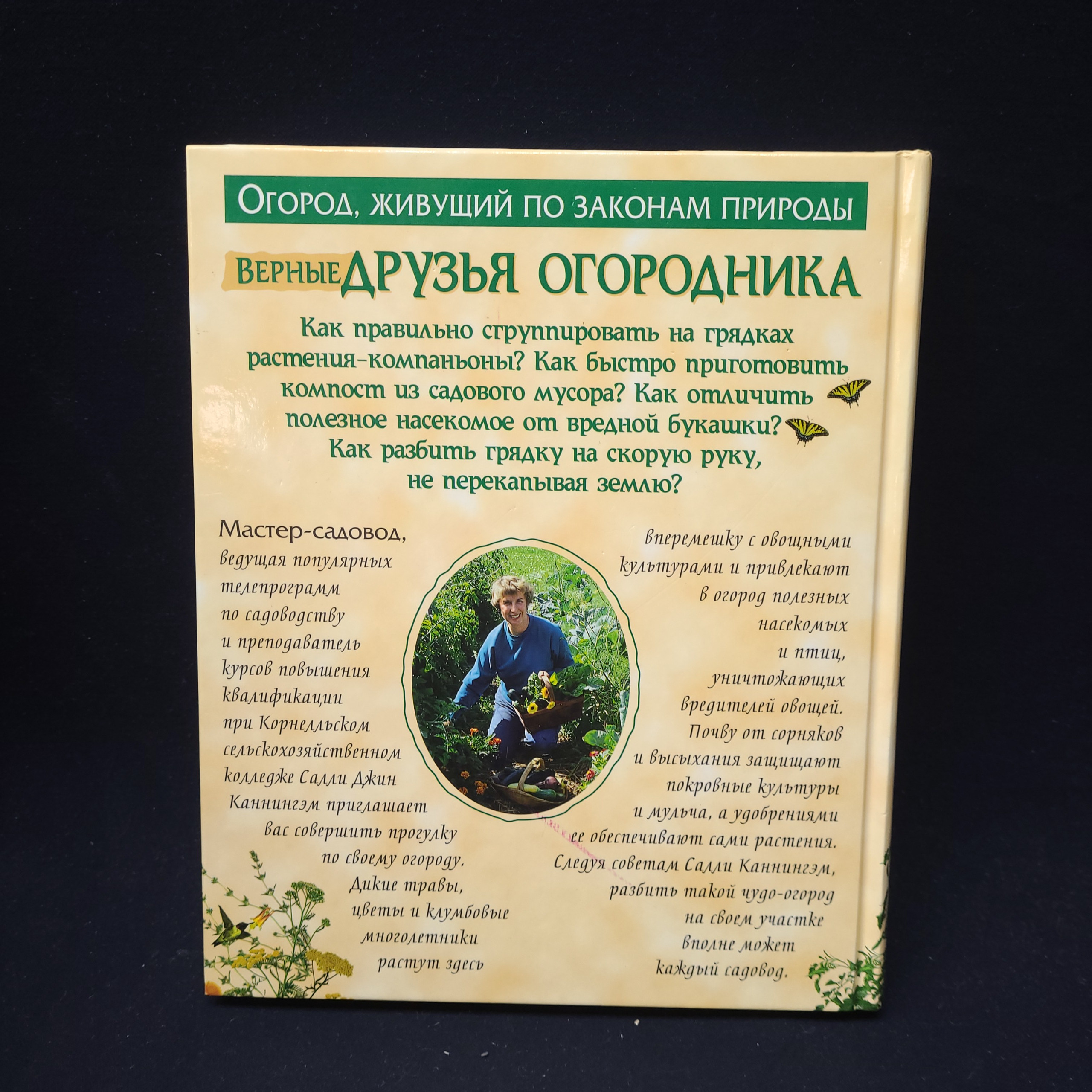 Картинка 3