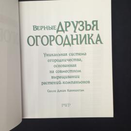 Картинка 4