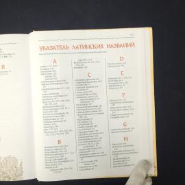 Картинка 6