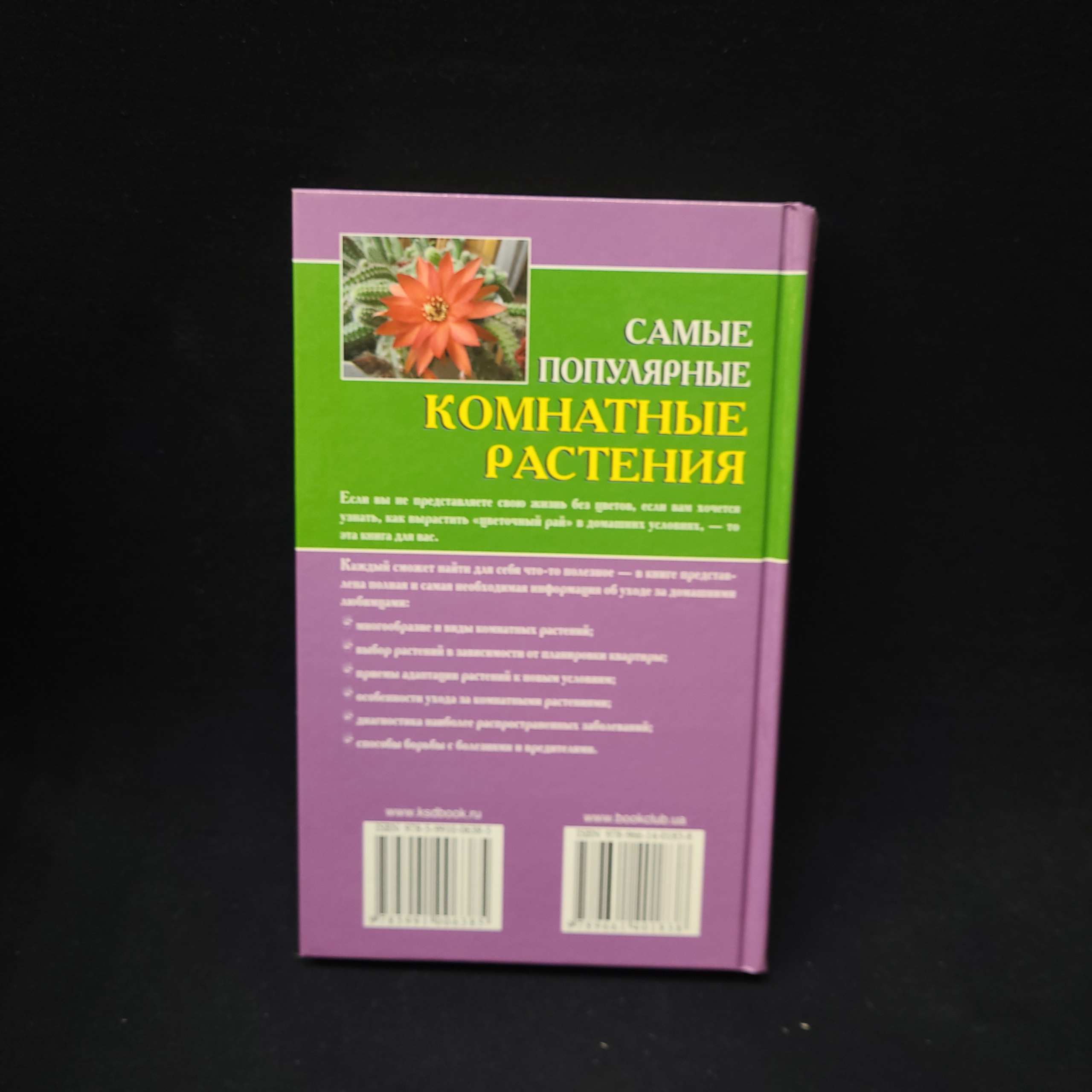 Картинка 3