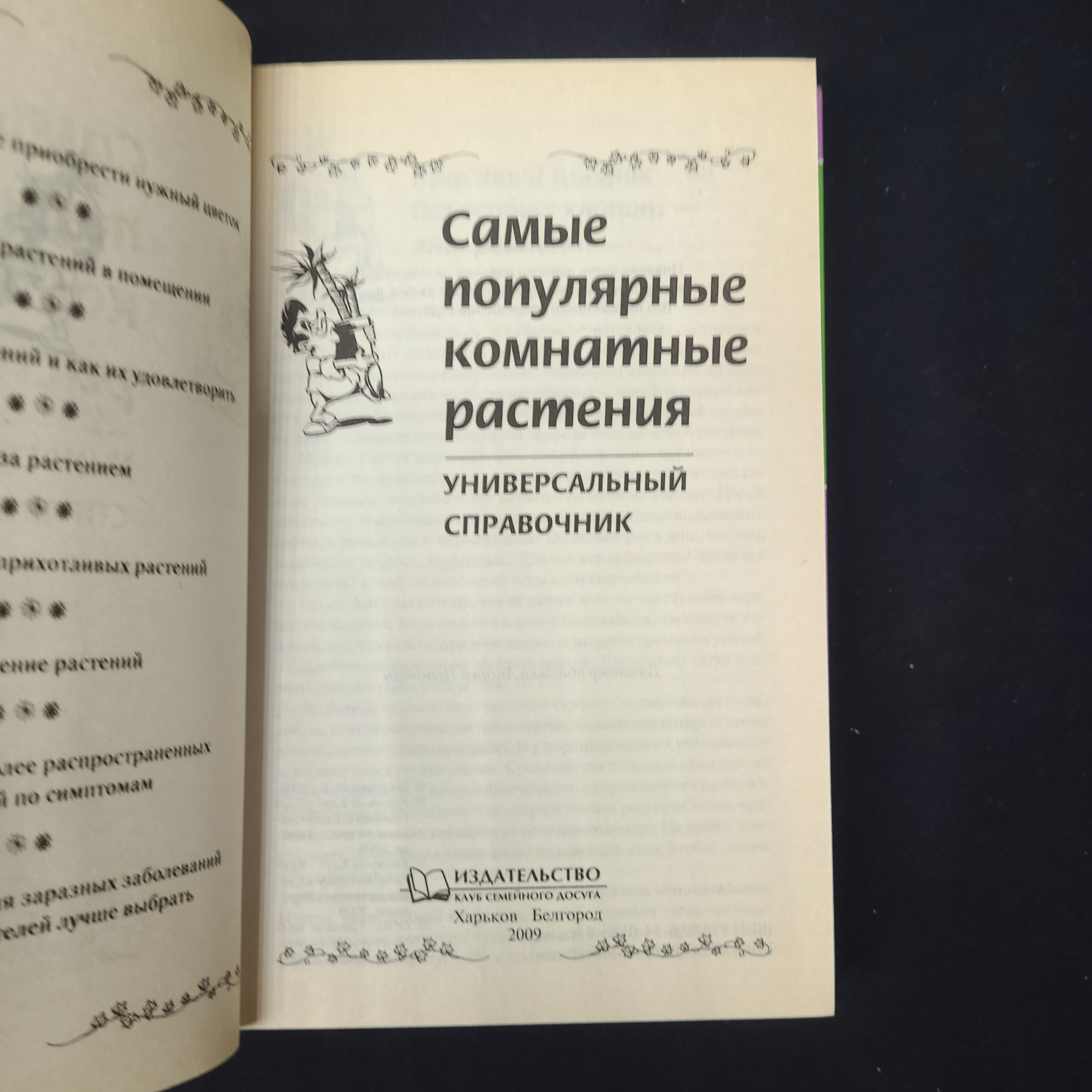 Картинка 4