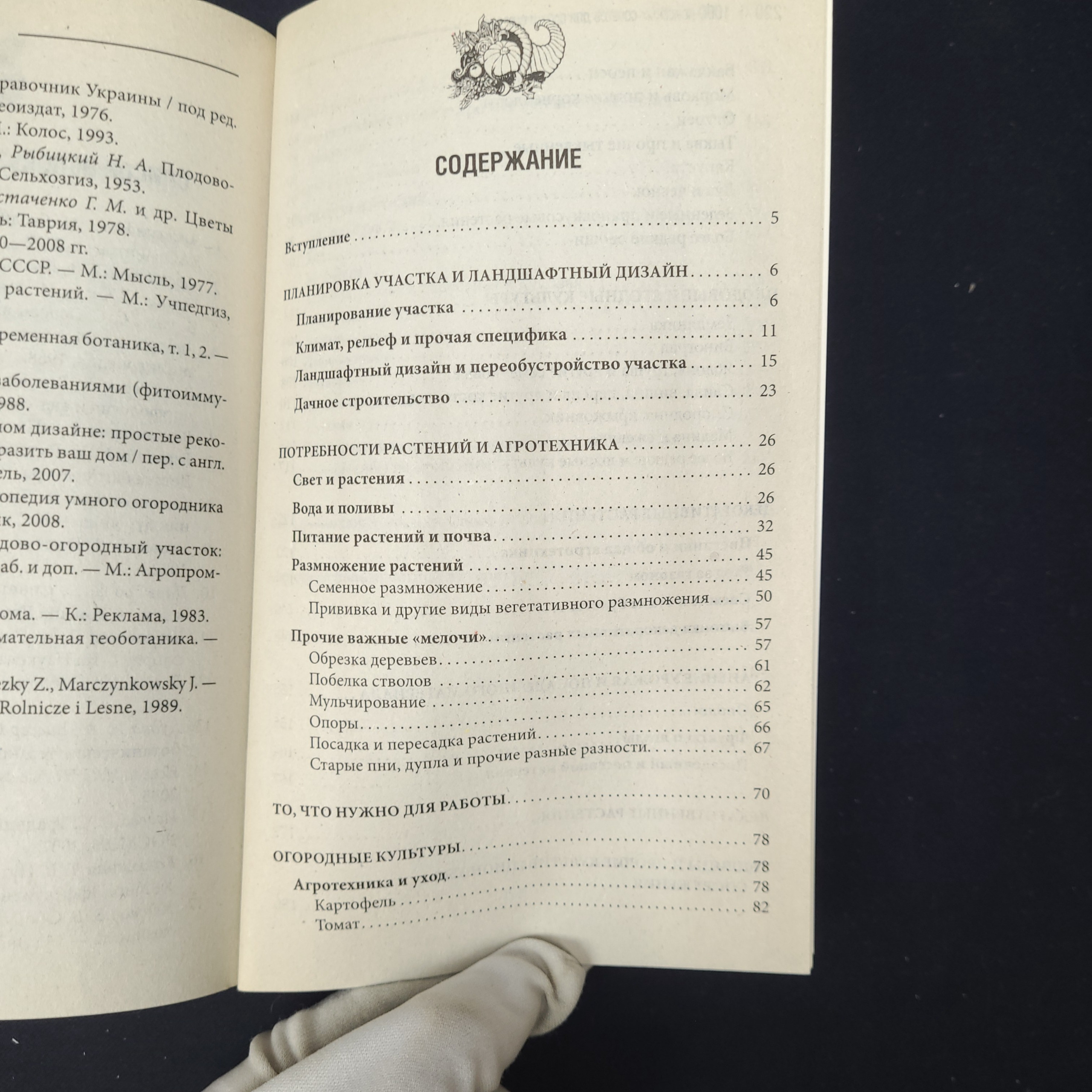 Картинка 6