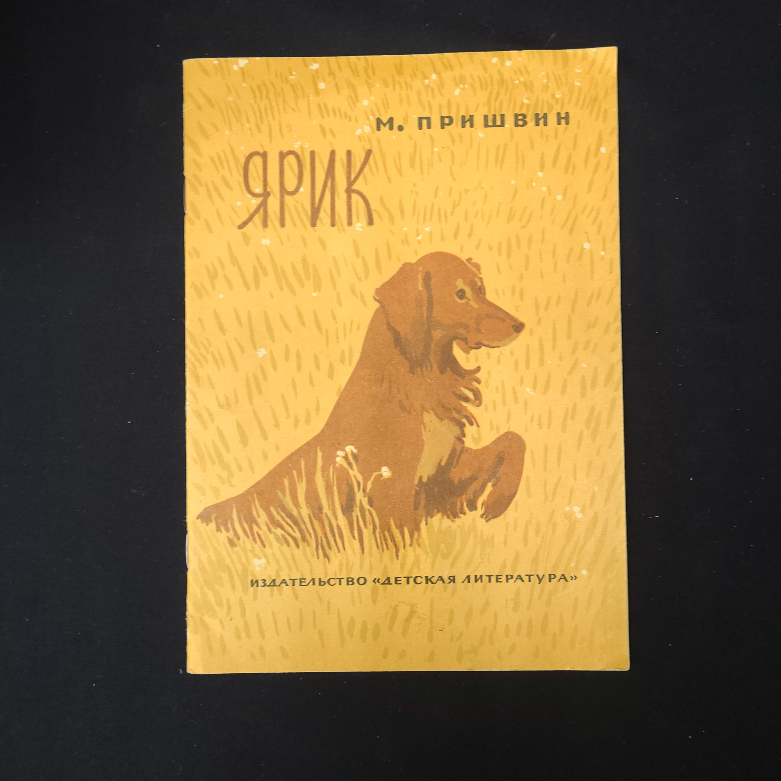 Картинка 1